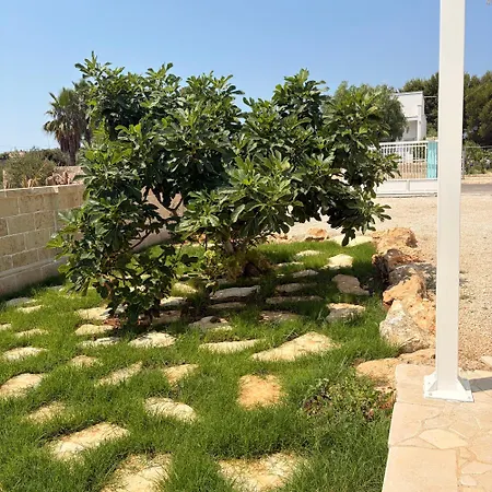 Albachiara 3*