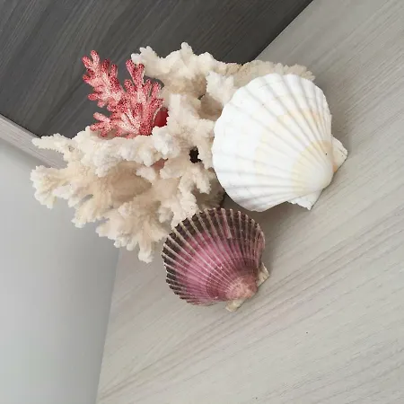 Albachiara Gasthuis 3*