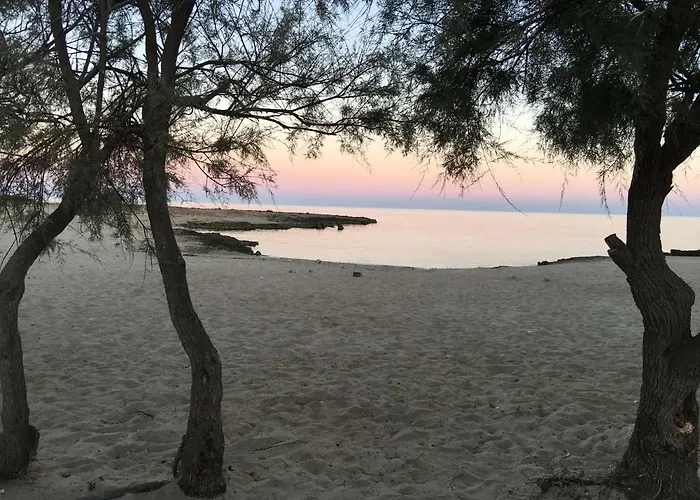 Albachiara בית הארחה סנט'איזידורו